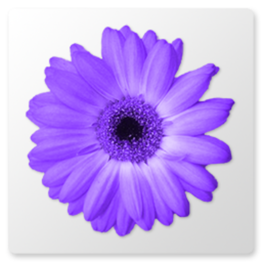 Artweaver