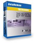 DataNumen SQL Recovery