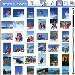 R.viewer