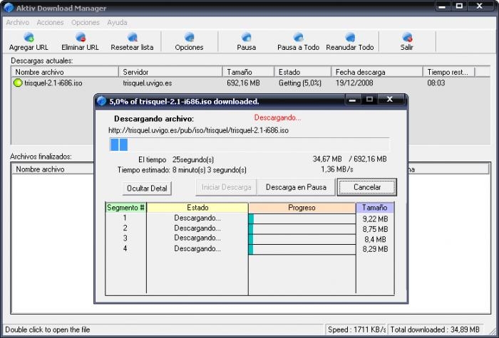 Aktiv Download Manager