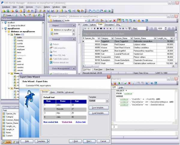 EMS MySQL Manager