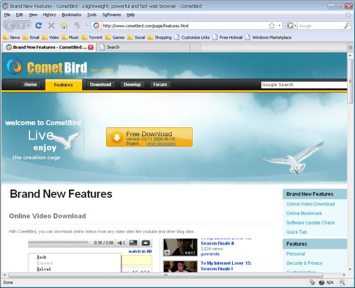 CometBird