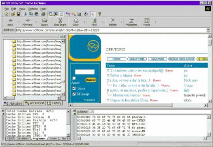 Internet Cache Explorer