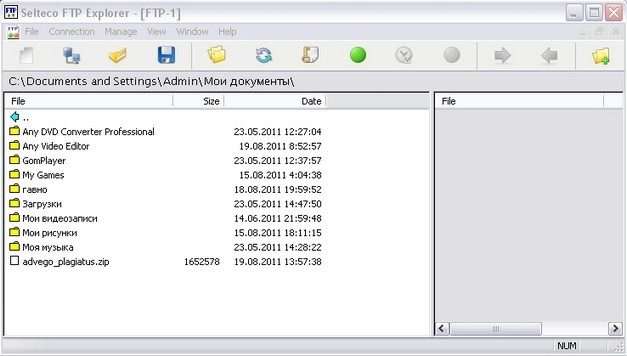 Selteco FTP Explorer