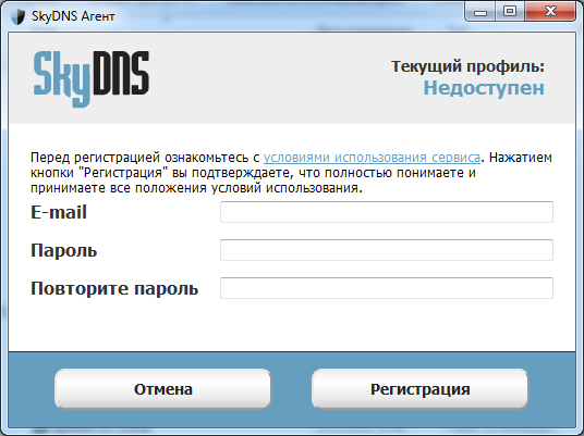 SkyDNS Agent