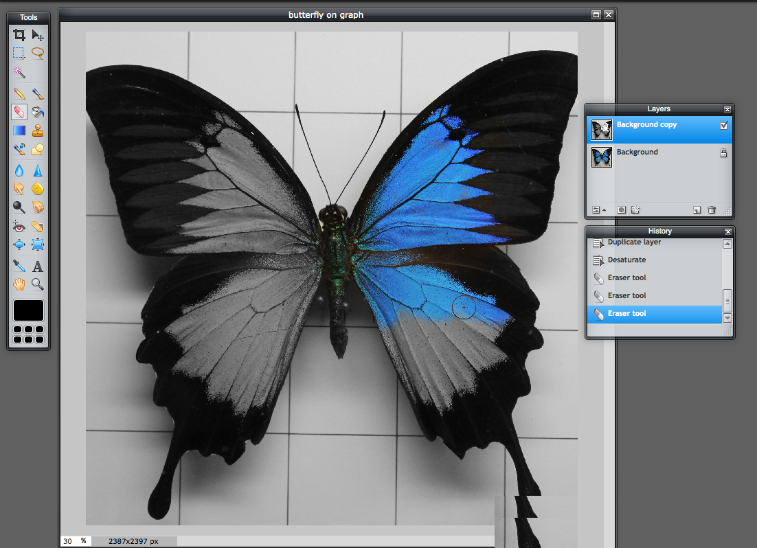 photoshop-onlajn-na-russkom-photo-2