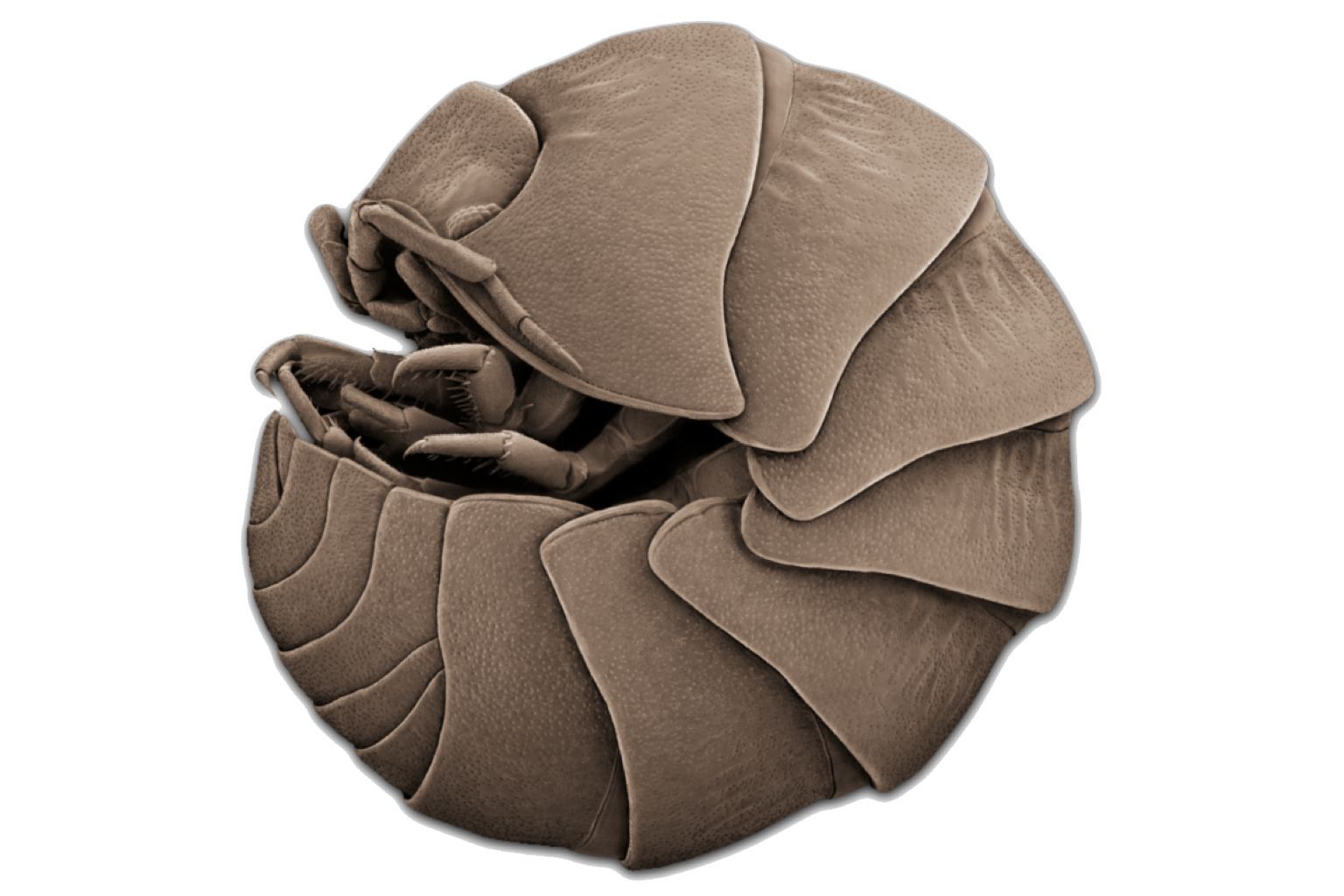 Keka for Mac OS