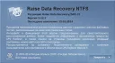 Raise Data Recovery per ReiserFS 
