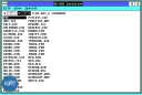 MsDos