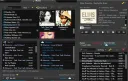 Audials Mediaraptor