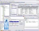 EMS MySQL Manager