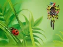 Parallaxis Cuckoo Clock