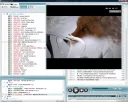 VKontakte.DJ