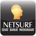 NetSurf