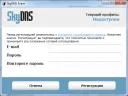 SkyDNS Agent